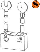 Diagram Koolborstels voor vorkheftrucks - Koolborstels met Gratis Wereldwijde Levering uit Voorraad
